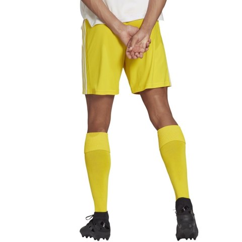 Spodenki adidas SQUADRA 21 Short GN5772 Spodenki adidas SQUADRA 21 Short GN5772