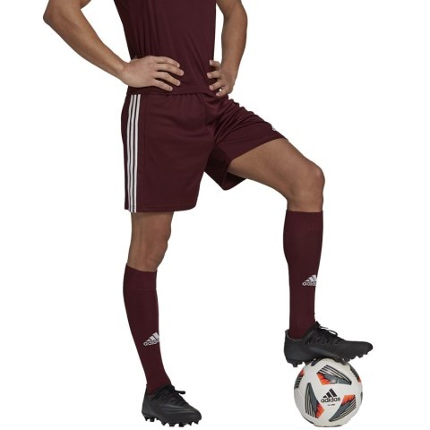 Spodenki adidas SQUADRA 21 Short GN8083 Spodenki adidas SQUADRA 21 Short GN8083