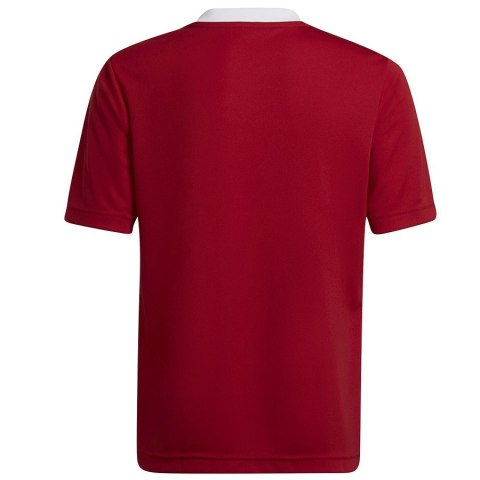 Koszulka adidas ENTRADA 22 JSY Y H57496 Koszulka adidas ENTRADA 22 JSY Y H57496