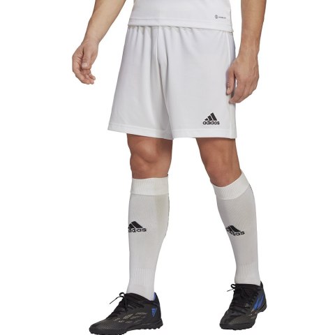 Spodenki adidas ENTRADA 22 Short HG6295 Spodenki adidas ENTRADA 22 Short HG6295