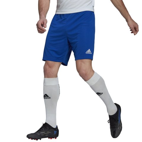 Spodenki adidas ENTRADA 22 Short HG6294 Spodenki adidas ENTRADA 22 Short HG6294