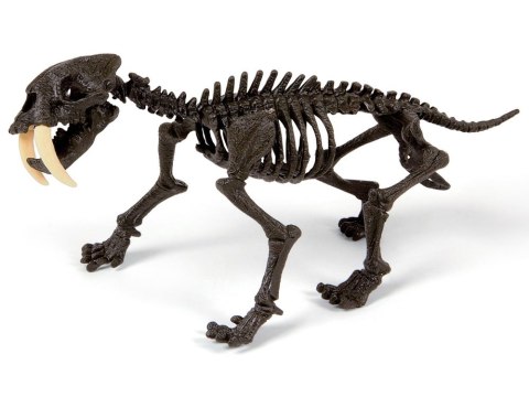 Clementoni Smilodon Zbuduj szkielet tygrysa ZA3713 Clementoni Smilodon Zbuduj szkielet tygrysa ZA3713