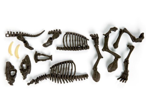 Clementoni Smilodon Zbuduj szkielet tygrysa ZA3713 Clementoni Smilodon Zbuduj szkielet tygrysa ZA3713