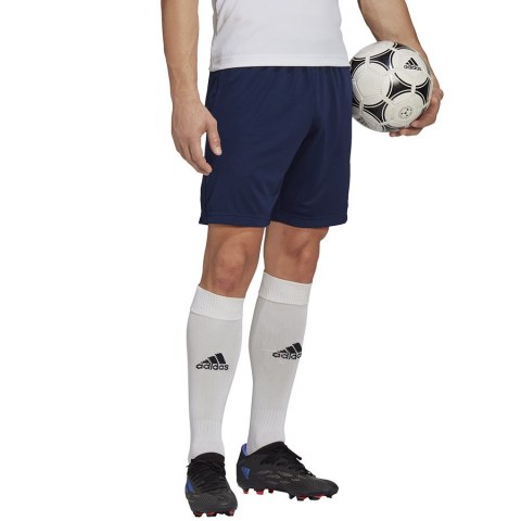 Spodenki adidas ENTRADA 22 Training Short H57488 Spodenki adidas ENTRADA 22 Training Short H57488