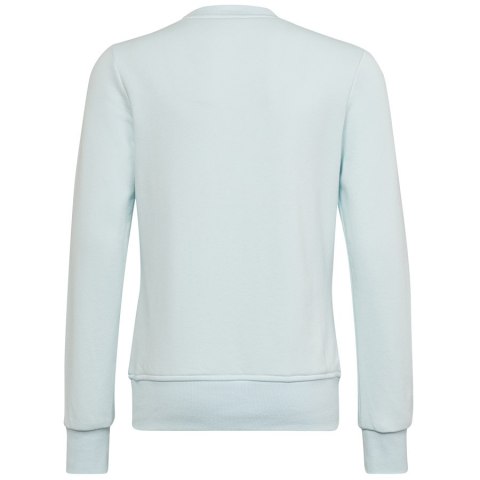 Bluza adidas Big Logo SWT HM8707 Bluza adidas Big Logo SWT HM8707