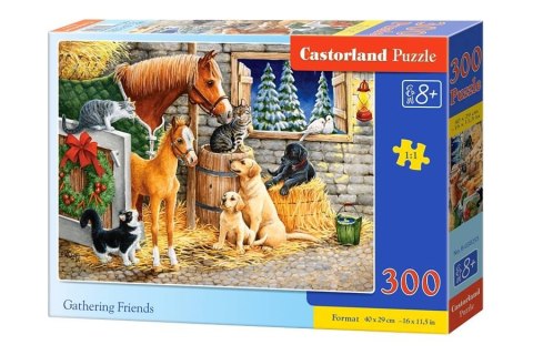 Puzzle 300 el. Gathering Friends