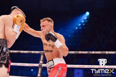 Rękawice bokserskie TIGER BLACK L Rękawice bokserskie TIGER BLACK L