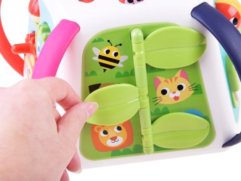 Hola Interaktywna edukacyjna multi kostka ZA3521 Hola Interaktywna edukacyjna multi kostka ZA3521