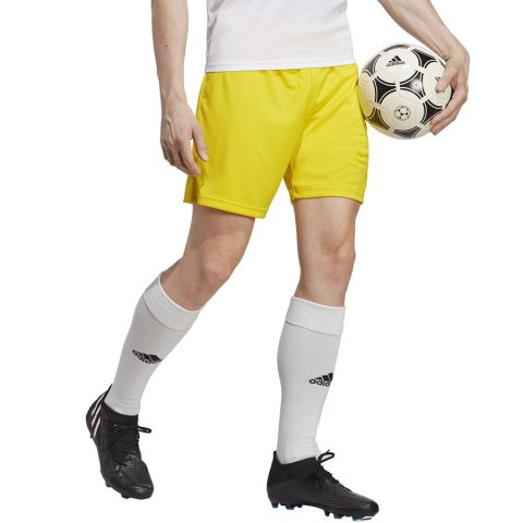 Spodenki adidas ENTRADA 22 Short IC7404 Spodenki adidas ENTRADA 22 Short IC7404