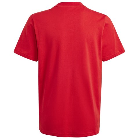 Koszulka adidas Big Logo Tee Jr IJ6262 Koszulka adidas Big Logo Tee Jr IJ6262