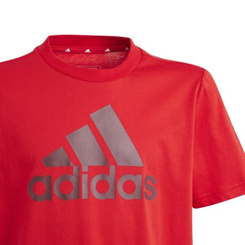 Koszulka adidas Big Logo Tee Jr IJ6262 Koszulka adidas Big Logo Tee Jr IJ6262