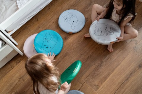 Poduszki ekoskóra zestaw ZWIERZĄTKA Rodzinki 3 cm 6 szt. AKSON Poduszki ekoskóra zestaw ZWIERZĄTKA Rodzinki 3 cm 6 szt. AKSON