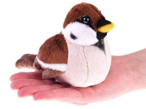 Maskotka Wróbel zwyczajny wróbelek ptaszek pluszak 13cm 13957 Maskotka Wróbel zwyczajny wróbelek ptaszek pluszak 13cm 13957