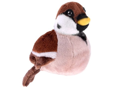 Maskotka Wróbel zwyczajny wróbelek ptaszek pluszak 13cm 13957 Maskotka Wróbel zwyczajny wróbelek ptaszek pluszak 13cm 13957