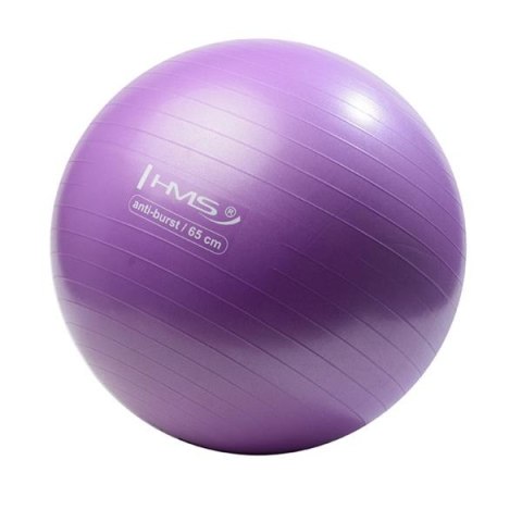 HMS YB02 NEW 65CM PURPLE ANTI-BURST PIŁKA GIMNASTYCZNA HMS HMS YB02 NEW 65CM PURPLE ANTI-BURST PIŁKA GIMNASTYCZNA HMS