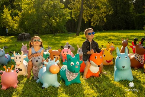 Skoczek gumowy dla dzieci ŻABA 55 cm zielony do skakania z pompką Skoczek gumowy dla dzieci ŻABA 55 cm zielony do skakania z pompką
