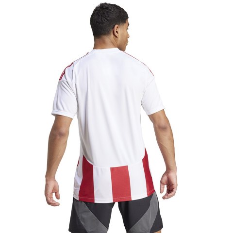 Koszulka adidas STRIPED 24 JSY IW2142 Koszulka adidas STRIPED 24 JSY IW2142