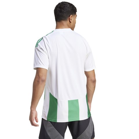 Koszulka adidas STRIPED 24 JSY IW2148 Koszulka adidas STRIPED 24 JSY IW2148