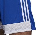 Adidas teamwear Spodenki dla dzieci adidas Tastigo 19 Shorts JUNIOR niebieskie DP3682/DP3686