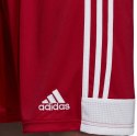 Adidas teamwear Spodenki męskie adidas Tastigo 19 Shorts czerwone DP3681