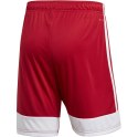 Adidas teamwear Spodenki męskie adidas Tastigo 19 Shorts czerwone DP3681