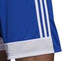 Adidas teamwear Spodenki męskie adidas Tastigo 19 Shorts niebieskie DP3682