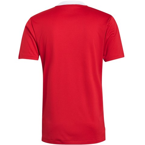 Adidas teamwear Koszulka męska adidas Tiro 21 Training Jersey czerwona GM7588 Adidas teamwear Koszulka męska adidas Tiro 21 Training Jersey czerwona GM7588