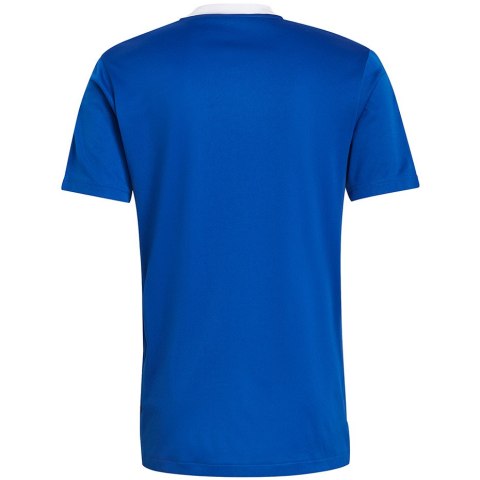 Adidas teamwear Koszulka męska adidas Tiro 21 Training Jersey niebieska GM7589 Adidas teamwear Koszulka męska adidas Tiro 21 Training Jersey niebieska GM7589