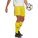 Adidas teamwear Spodenki męskie adidas Squadra 21 Short żółte GN5772