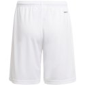 Adidas teamwear Spodenki dla dzieci adidas Squadra 21 Short Youth białe GN5765