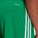 Adidas teamwear Spodenki męskie adidas Squadra 21 Jersey zielone GN5769