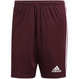 Adidas teamwear Spodenki męskie adidas Squadra 21 Short bordowe GN8083