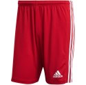 Adidas teamwear Spodenki męskie adidas czerwone Squadra 21 Shorts GN5771