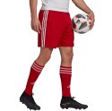 Adidas teamwear Spodenki męskie adidas czerwone Squadra 21 Shorts GN5771