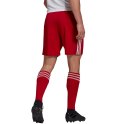 Adidas teamwear Spodenki męskie adidas czerwone Squadra 21 Shorts GN5771