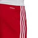 Adidas teamwear Spodenki męskie adidas czerwone Squadra 21 Shorts GN5771