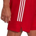 Adidas teamwear Spodenki męskie adidas Condivo 21 Primeblue Shorts czerwone GJ6810