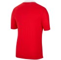 Nike Team Koszulka męska Nike Dri-FIT Park 20 Polo SS czerwona CW6933 657 Nike Team Koszulka męska Nike Dri-FIT Park 20 Polo SS czerwona CW6933 657