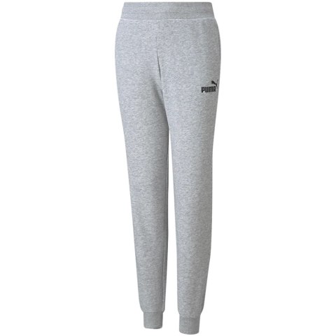 Puma Spodnie dla dzieci Puma ESS Sweatpants TR szare 587037 04