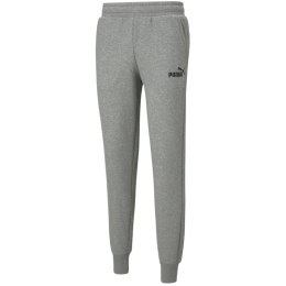 Puma Spodnie męskie Puma ESS Logo Pants FL jasnoszare 586714 03