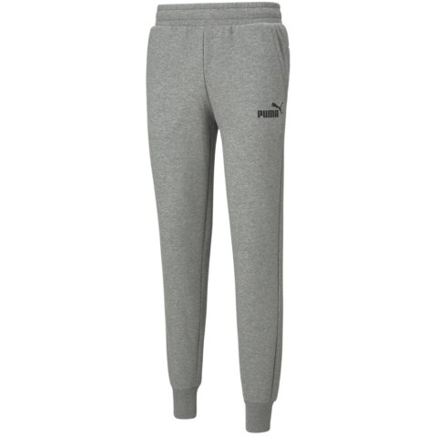 Puma Spodnie męskie Puma ESS Logo Pants FL jasnoszare 586714 03