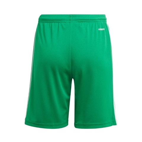 Adidas teamwear Spodenki dla dzieci adidas Squadra 21 Short Youth zielone GN5762 Adidas teamwear Spodenki dla dzieci adidas Squadra 21 Short Youth zielone GN5762