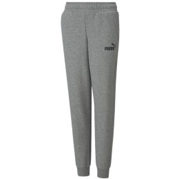 Puma Spodnie dla dzieci Puma ESS Logo Pants FL szare 586973 03