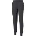 Puma Spodnie męskie Puma ESS Logo Pants FL ciemnoszare 586714 07