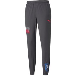 Puma Spodnie męskie Puma Neymar Jr Futebol Training Pant szare 605600 07