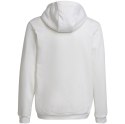 Adidas teamwear Bluza dla dzieci adidas Entrada 22 Hoody biała HG6303