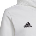 Adidas teamwear Bluza dla dzieci adidas Entrada 22 Hoody biała HG6303