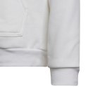 Adidas teamwear Bluza dla dzieci adidas Entrada 22 Hoody biała HG6303