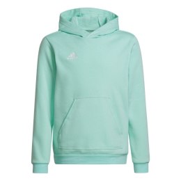 Adidas teamwear Bluza dla dzieci adidas Entrada 22 Hoody miętowa HC5066