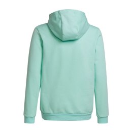 Adidas teamwear Bluza dla dzieci adidas Entrada 22 Hoody miętowa HC5066